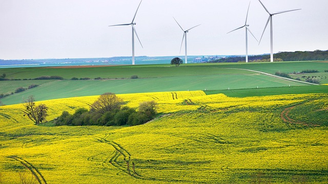 Zertifizierte Bewertung von unbebauten Grundstücken, Bauland und landwirtschaftlichen Flächen nach ImmoWertV in Magdeburg, Halle und ganz Sachsen-Anhalt